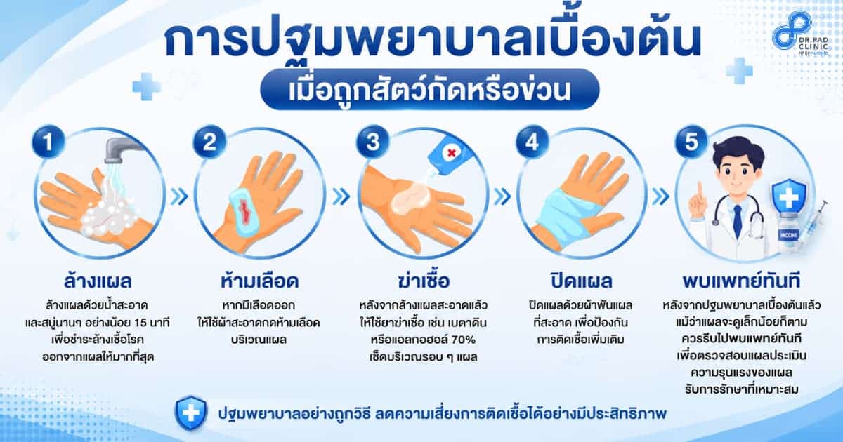 First Aid Steps After a Monkey Bite