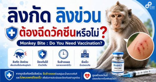 monkey bite treatment Koh Lanta