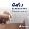 acupuncture program Koh Lanta holistic healing